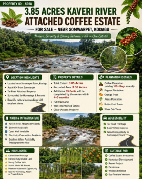 3.85 acres kaveri river attached coeffe estate for sale kodagu