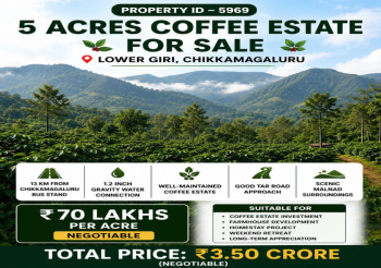 5 acres coeffe estate for sale lower giri chikkamagaluru