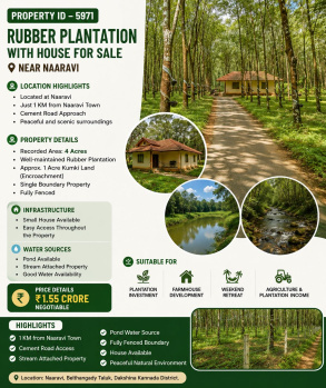rubber plantation for sale near naaravi
