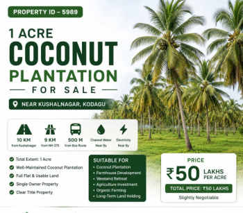 1 acre coconut plantation for sale near kodagu kushalnagara