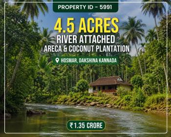 4.5 acres river attached areca and coconut plantation for sale dakshina kannada