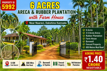 6 acres areca and rubber plantation for sale near naaravi dakshina kannada
