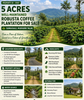 5 acres well maintained robusta coeffe plantation for sale mudigere taluk