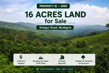 16 acres land with tea estate view for sale kelagur rural mudigere