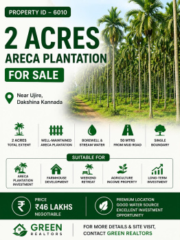 2 acres areca plantation for sale near ujire dakshina kannada