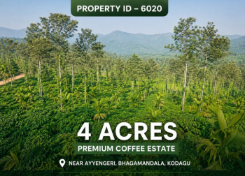 4 acres premium estate for sale near bhagamandala coorg