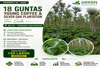18 guntas young coeffe estate for sale near belur