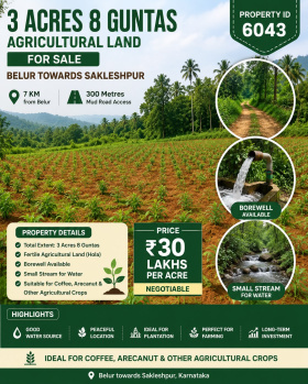 3 acres 8 guntas agricultural land for sale belur towards sakleshpura