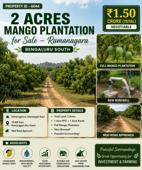 2 acres mango plantation for sale near ramanagara bangalore south