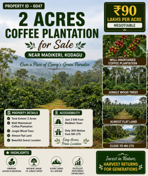 2 acres coeffe plantation for sale near madikeri