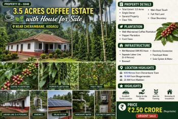 3.5 acres coeffe estate for sale near coorg kodagu