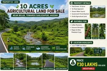 10 acres agricultural land for sale near belur