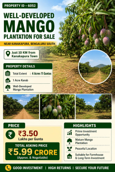 well developed mango plantation for sale near kanakanpura bangalore south