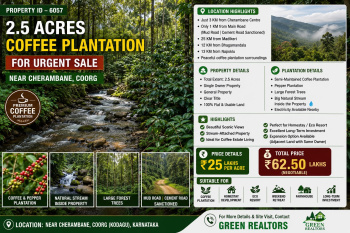 2.5 acres coeffe esatte for sale near coorg