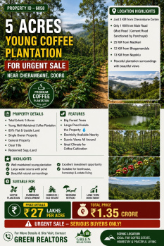 5 acres young coeffe plantation for sale near coorg