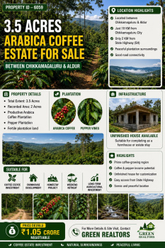 3.5 acres arabica coeffe estate for sale between chikkamgalru and aldur