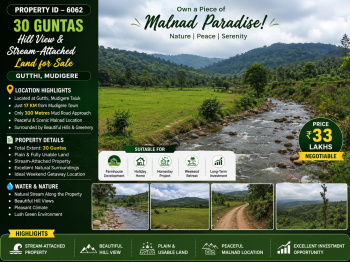 30 guntas hill view and stream attached land for sale near mudigere