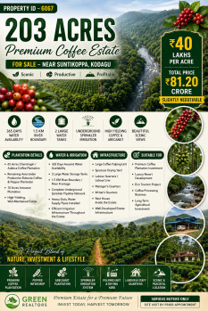 203 acres premium coeffe estate for sale near kodagu
