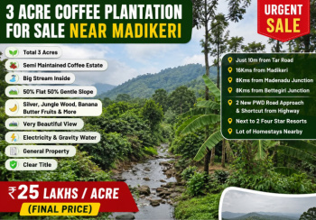 3 acres coeffe plantation for sale near madikeri kodagu