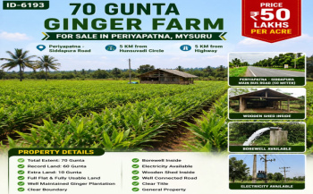 70 guntas ginger plantation for sale  near mysuru road