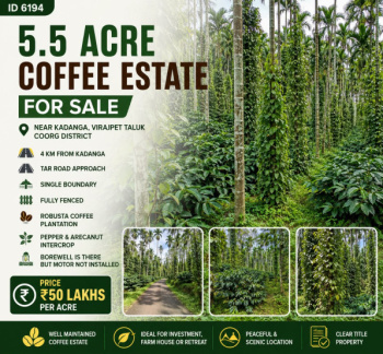 5.5 acres well maintained coeffe estate for sale near kodagu kushalnagara