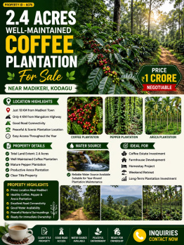 2.4 acres well maintained coeffe plantation for sale near madiekri kodagu