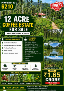 12 acres coeffe estate for sale near madikeri kodagu