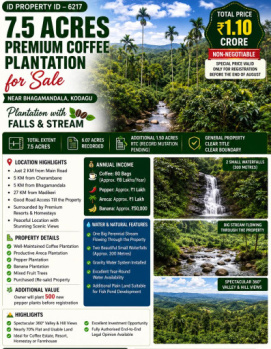 7.5 acres premium coeffe plantation for sale near kodagu