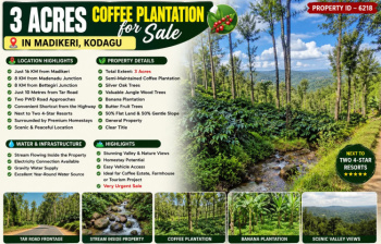 3 acres neglected coeffe plantation for sale near madikeri kodagu