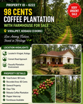 98 CENTS COEFFE PLANTATION FOR SALE VIRAJPETE KODAGU