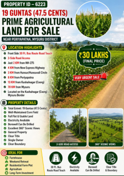 19 guntas agricultural land for sale near mysuru