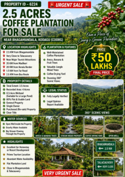 2.5 acres coeffe estate for sale near kodagu