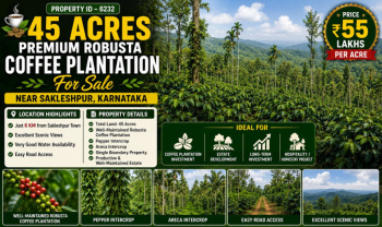 45 acres premium robusta coeffe plantation for sale near sakleshpura