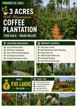 3 acres well maintained coeffe plantation for sale near belur hassan