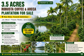 3.5 acres robusta coeffe and areca plantation for sale near belur