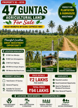 47 guntas agricultural land for sale near mandya mysore express