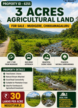 3 acres agricultural land for sale near mudigere chikkamagaluru