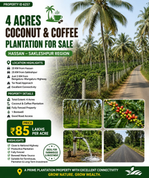 4 acres coconut plantation for sale near hassan sakleshpura
