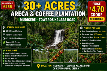 30 acres areca and coeffe plantation for sale near kalasa road mudigere