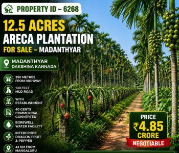 12.5 acres well maintained areca and plantation for sale near dakshina kannada