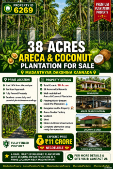 38 acres areca and coconut plantation for sale near  dakshina kannada