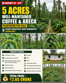 5 acres well maintaiend coeffe and areca plantation for sale near siddapura