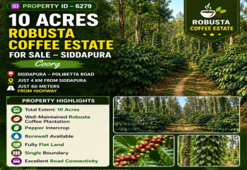 10 acres robusta coeffe estate for sale near siddapura