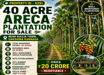 40 acres well maintained areca plantation for sale near dakshina kannada