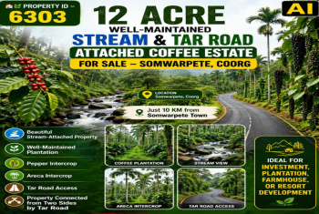 12 acres well maintained stream attached and tar road attached coeffe estate for sale near somwarpete coorg