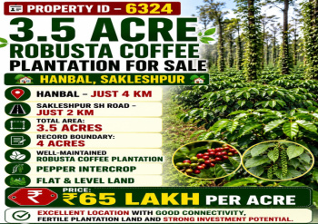 3.5 acres robusta coeffe plantation for sale near sakleshpura