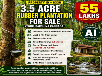 3.5 acres rubber plantatiomn for sale near venur dakshina kannada