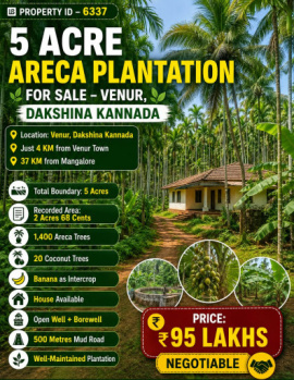 5 acres areca plantation for sale venur dakshina kannada