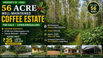 56 acres well maintained estate for sale near chikkamagaluru