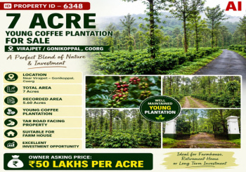 7 acres young coeffe plantation for sale  near coorg